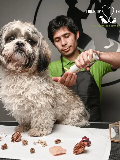 Our groomer applying a medicated treatment for ticks and fleas. We take great care to be gentle yet effective.