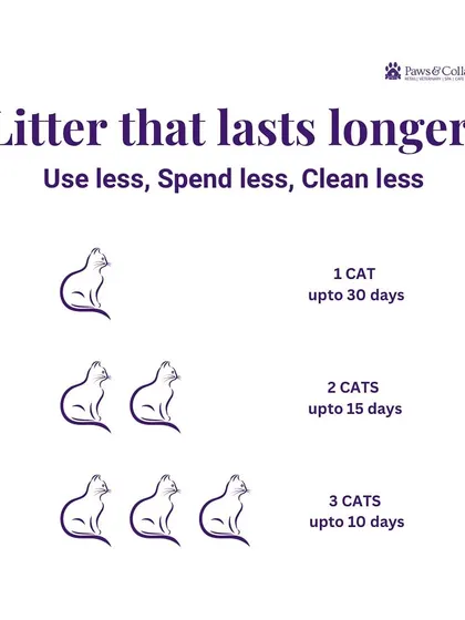 Our EcoCat litter lasts longer, meaning you use less, spend less, and clean less. This infographic provides a handy guide for how long one box typically lasts for one, two, or three-cat households.