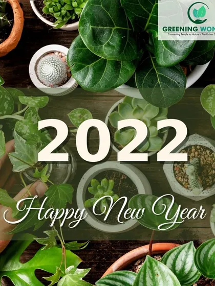 Wishing everyone a Happy New Year with a beautiful collage of lush, green indoor plants, representing growth and new beginnings.