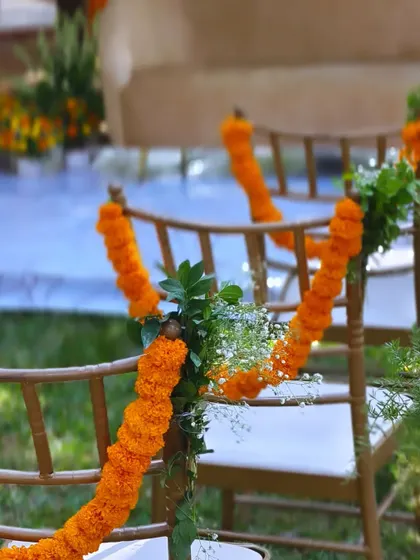 Simple, traditional decor for guest seating. These Tiffany chairs are adorned with bright orange marigold garlands, tying the guest area into the overall wedding theme.