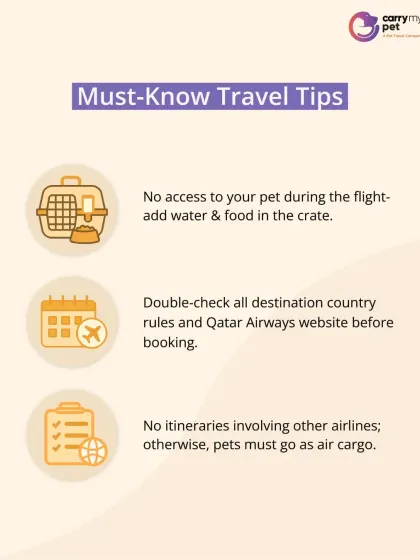 Must-know travel tips for flying with Qatar Airways, such as pre-filling food and water and double-checking all destination country rules.
