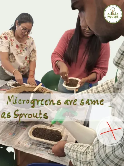 Myth: Microgreens are the same as sprouts. Fact: They are different stages of plant growth with different nutritional profiles. We clarify these common misconceptions.
