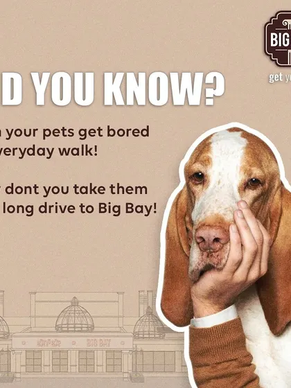 Even your pets get bored of the same everyday walk. A long drive to Big Bay is the perfect change of scenery for them, with new sights and smells to explore.