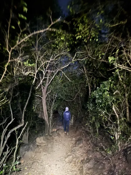 A lone trekker navigates a dark, forested path with a headlamp. Night treks offer a completely different and thrilling perspective of the trail.