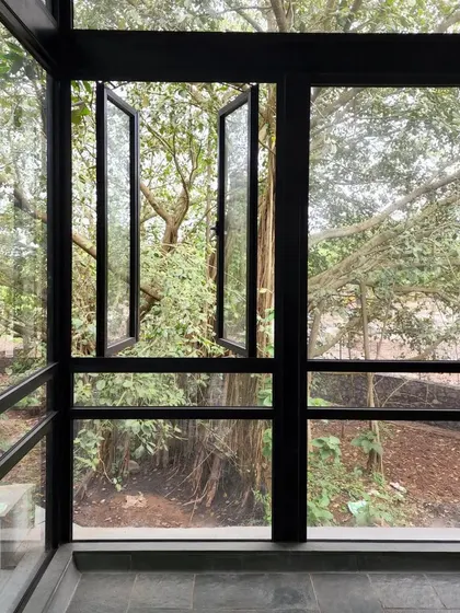 A window in the Villa in a Grove opens directly into the canopy of an old tree. These moments of connection are what we strive for, blurring the boundary between the built and the natural.