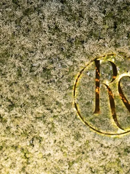 A close-up of the custom monogram on a wall of baby's breath. This detail adds a personalized touch to the elegant, all-white reception decor.