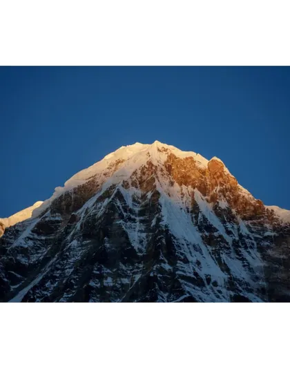 The golden hour light hits the summit of Annapurna, creating a stunning, fiery glow. This is the magic hour every mountain photographer dreams of.