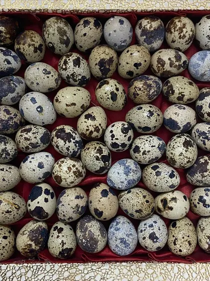 Quail eggs are a tiny but mighty nutritional supplement. They can be fed whole, shell and all, as a perfect little meal topper.