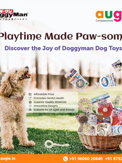 Playtime is made paw-some with Doggyman dog toys. They are affordable, promote dental health, and come in innovative designs suitable for all ages and breeds.