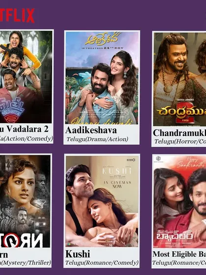 A mix of action, comedy, romance, and mystery from Netflix, featuring popular Telugu and Kannada films.