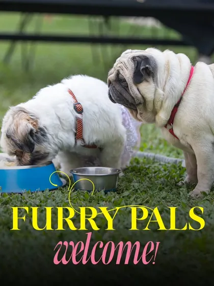 Furry pals are always welcome. These two dogs are enjoying a meal together on our lawn.
