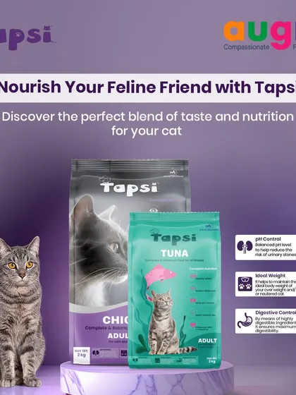 For a complete and balanced meal, I recommend Tapsi Adult Cat food. It's available in both Chicken and Tuna flavors and is formulated to support everything from urinary health with a balanced pH to maintaining an ideal weight.