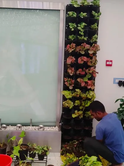 Here you can see one of our team members carefully installing a modular vertical garden system. We handle the entire process, from selecting the right plants for the light conditions to ensuring the structure and irrigation are set up for long-term success.