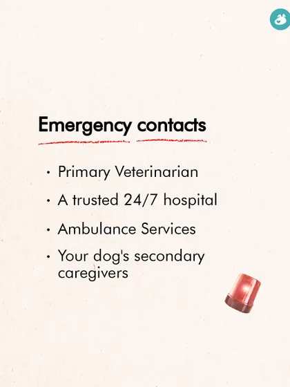 Being prepared for a medical emergency is key. This guide lists the essential emergency contacts every pet parent should have readily available, from your primary vet to ambulance services.