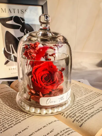 The red Eternal Rose, a timeless Valentine's gift.