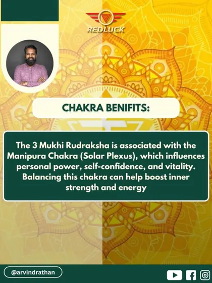 This Rudraksha is associated with the Manipura (Solar Plexus) Chakra. Balancing this chakra with the 3 Mukhi bead helps boost personal power, self-confidence, and vitality, giving you inner strength and energy.