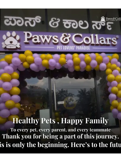 Our store decorated with balloons for our 3rd anniversary. We are so grateful to every pet, parent, and teammate who has been part of our journey. This is only the beginning!
