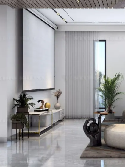 The entertainment console in the Kirti Nagar lounge, designed with clean lines and decorated with minimalist plants and sculptures.