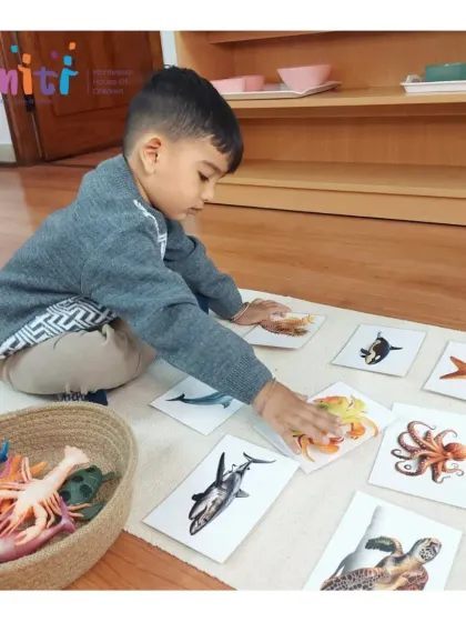 A young boy matches miniature sea animal figures to their corresponding picture cards. This language activity expands his vocabulary and classification skills in a fun, hands-on way.