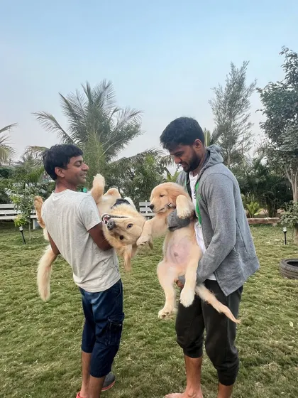 Two of our team members playfully hold up two happy Golden Retrievers in the middle of our green lawn.