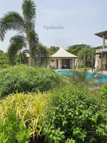 From behind a screen of lush foliage, the pool and cabana feel like a secret discovery. We use layered planting to create a sense of mystery and depth in our garden designs.
