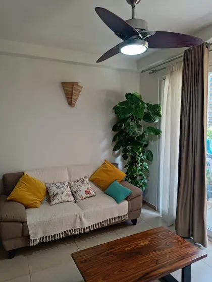 Even a simple corner can become a green oasis. A large indoor plant like this money plant is easy to maintain and provides more oxygen than several smaller ones, making it a great investment for your home.