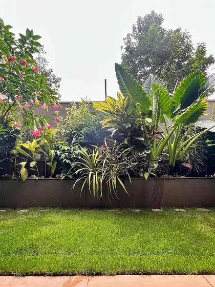 This wide shot shows the balance between the green lawn and the dense, tropical-style garden bed. We designed this space to feel lush and full, like a private oasis.