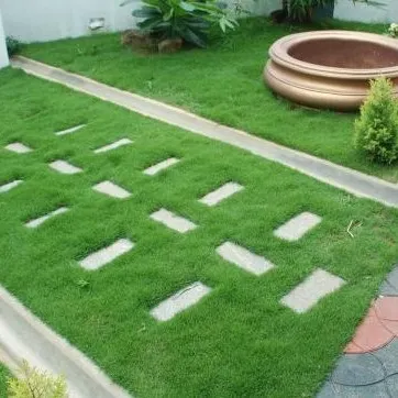 This design incorporates stepping stones set directly into the lawn, creating a playful and practical path. The curved concrete edging neatly separates the lawn from the garden beds.