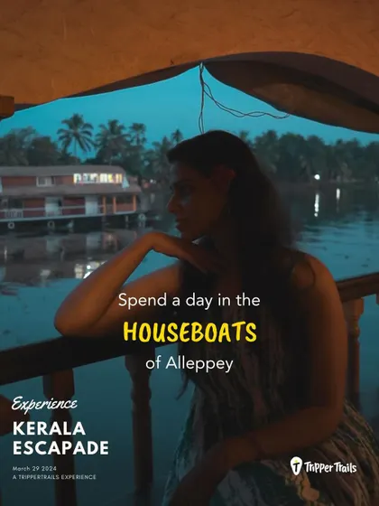 Spending a night on a houseboat in Alleppey is a core Kerala experience. The feeling of floating on the calm backwaters as the world goes by is pure magic.