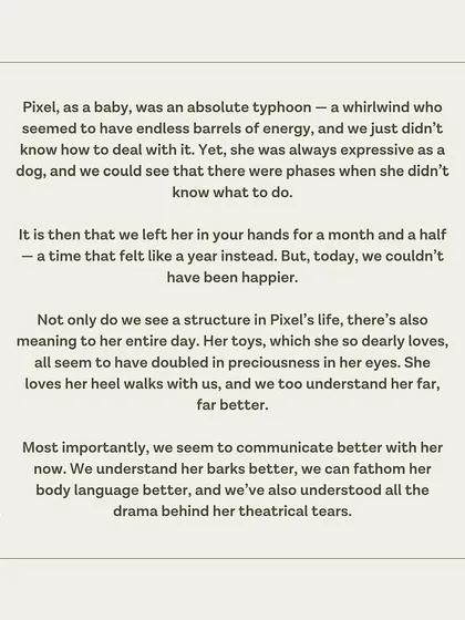 Pixel's family shares how our program brought structure and meaning to her life, improving their communication with her.