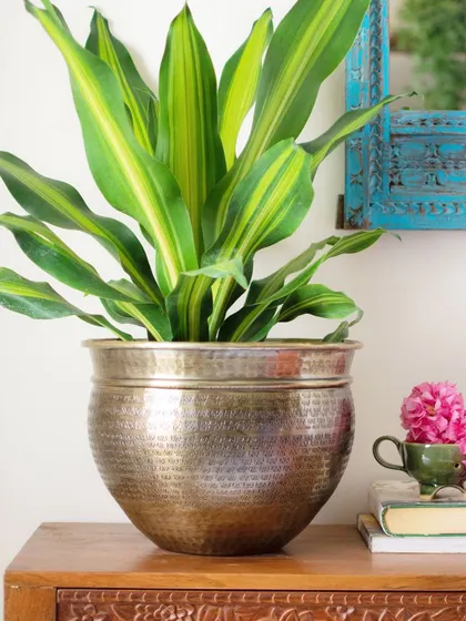Create your own green oasis at home to chase away the Monday blues. Featured here is my Mayhar 12-inch floor planter, a substantial piece with a hammered texture that makes a statement.