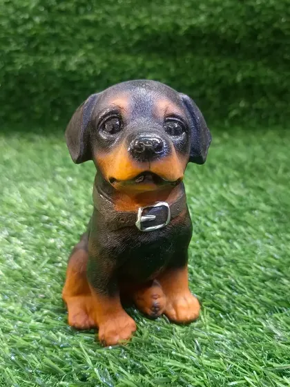An adorable Rottweiler puppy showpiece, small in size but big on charm.