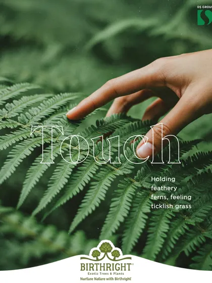The sense of touch. Feeling the texture of feathery ferns or ticklish grass connects us to the earth in a grounding, tactile way.
