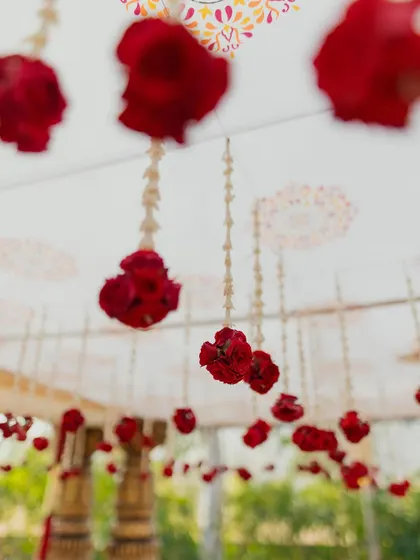 A view from below of hanging red rosebuds against a patterned white canopy, a beautiful detail for a traditional mandap.