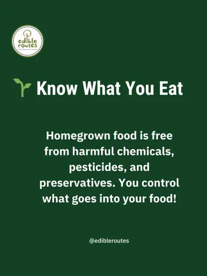 Know what you eat. Homegrown food is free from harmful chemicals and pesticides because you control exactly what goes into your soil and onto your plants.