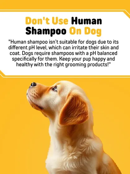Your shampoo is for you, not your dog, yaar. Human shampoos have the wrong pH level and can irritate your pet's skin, so we created formulas specifically balanced for their needs.