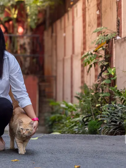 A woman with her cat in their neighborhood. This shoot celebrated the community bonds formed around her pets.