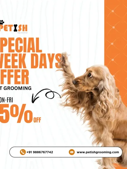Plan a mid-week treat for your pet with my special weekday offer. Get 15% off on all grooming services from Monday to Friday.