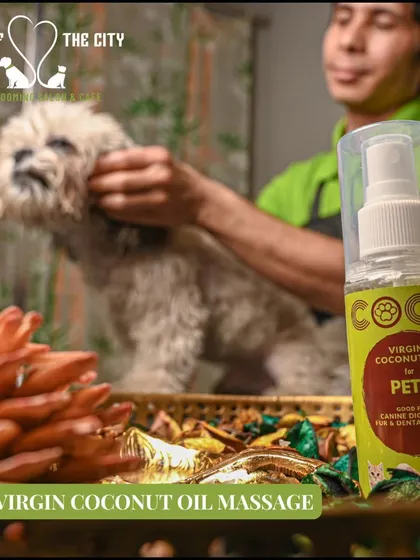 We use high-quality, pet-safe virgin coconut oil for our massages. This product is great for canine digestion and dental health as well.