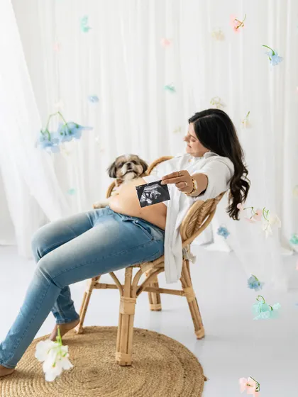 A beautiful maternity portrait in a studio setting. The expectant mother holds her Shih Tzu close to her baby bump, with soft light and delicate butterfly decorations creating a dreamy atmosphere.