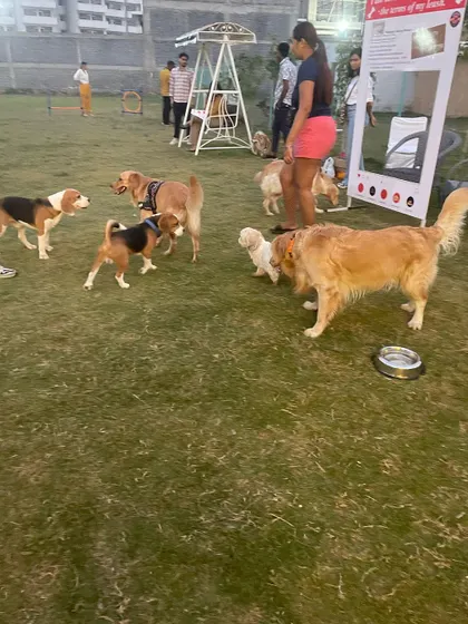 Socialization is so important! Here's a look at our "DOG-JOG" event, where pups and their parents can meet, play, and become part of our wonderful community.