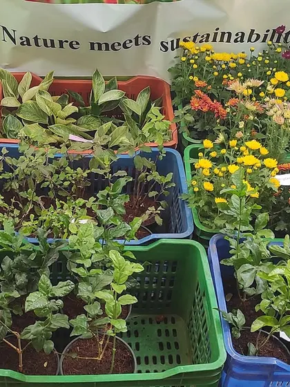 We are so proud of our students from HCC who hosted their own farmers market. After learning sustainable practices on our urban farm, they grew and marketed their own leafy greens, plants, and vegetables.
