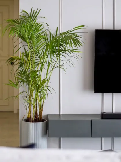 The TV wall features vertical grooves and a beautiful ornamental moulding at the top, adding texture and architectural interest to the space.