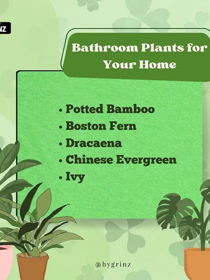 Your bathroom's humidity is perfect for certain plants. This guide suggests potted bamboo, Boston fern, and ivy to create a spa-like atmosphere.