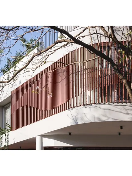 The branches of the tabebuia tree frame the curved facade, highlighting the symbiotic relationship we strive to create between our buildings and their sites.