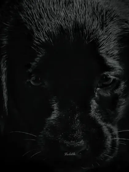 Using shadows and low-key lighting, this portrait of a black Labrador puppy creates a moody and intimate feel. It highlights the subtle features and innocent expression that might otherwise be missed.
