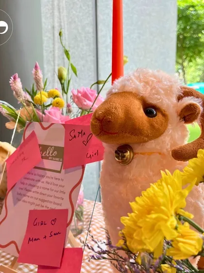 Another angle of the interactive suggestion board, showing the cute sheep plushie and colorful notes from guests.