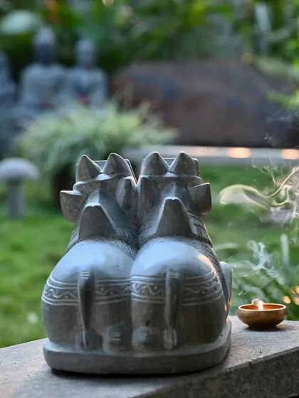 The back view of the twin Nandi statue, showing how two distinct forms emerge from one stone. Placed in a garden setting with incense, it creates an atmosphere of peace and reverence.