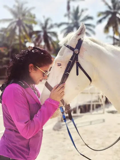 A series of shots showing the gentle affection and bond between a rider and her horse during a break on a sunny day outdoors.