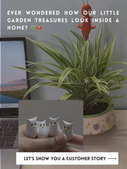 Ever wondered how my little garden treasures look inside a home? A customer in Kolkata used this ant stake and owl decor as part of a chic collectible display.